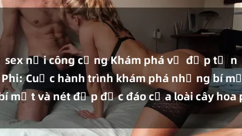 sex nơi công cộng Khám phá vẻ đẹp tự nhiên của sex châu Phi: Cuộc hành trình khám phá những bí mật và nét đẹp độc đáo của loài cây hoa phong lan châu Phi.